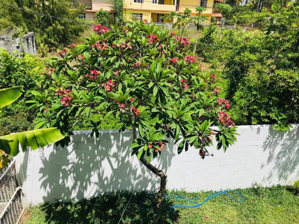 Villa Breeze Du Nord Grand Baie Exterior foto